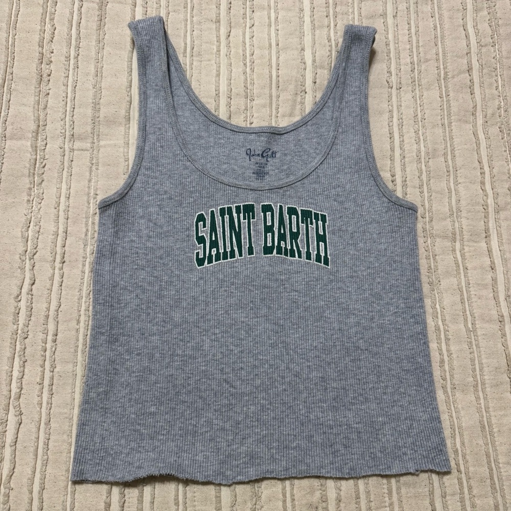 Brandy Melville Gray Crop Top Saint Barth Logo with Green Print